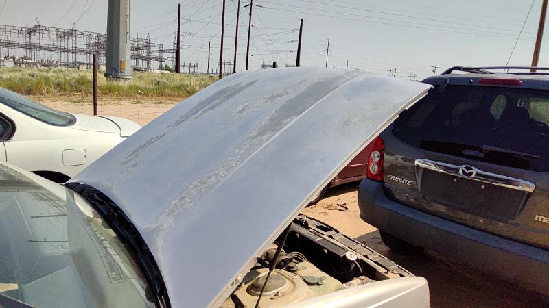 1985-1991 Oldsmobile Eighty-eight (80 & Up) Hood