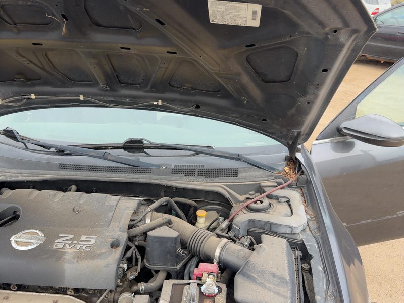 2002-2006 Nissan Altima Hood Hinge RH