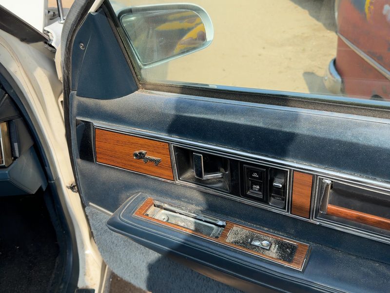 1986 Oldsmobile Ninety-eight (80 & Up) Front Door Trim Panel RH