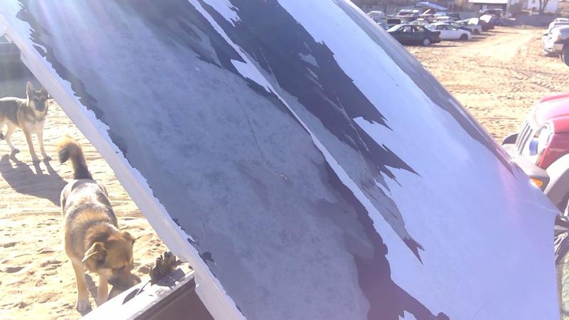1991-1996 Chevrolet Caprice (80 & Up) Hood