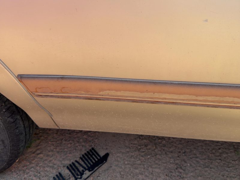 1993 Buick Century Rear Door Moulding RH
