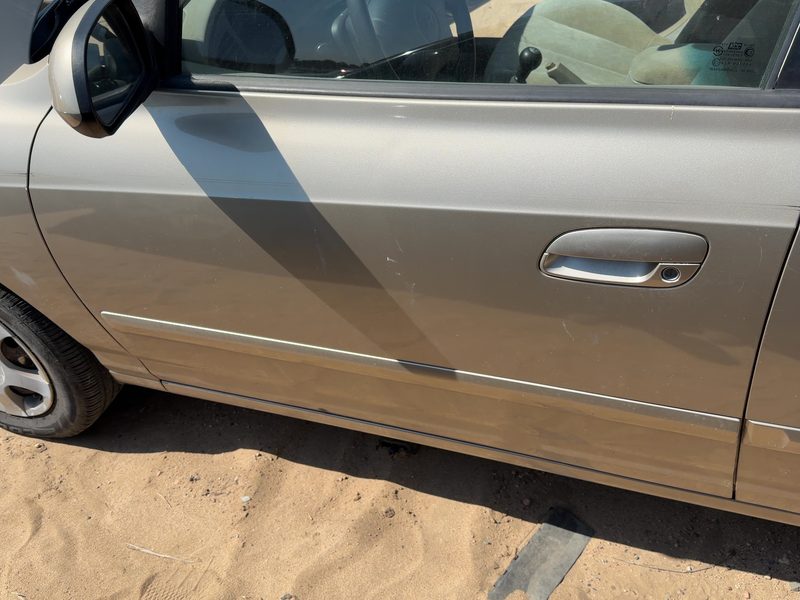 2001-2006 Hyundai Elantra Front Door LH