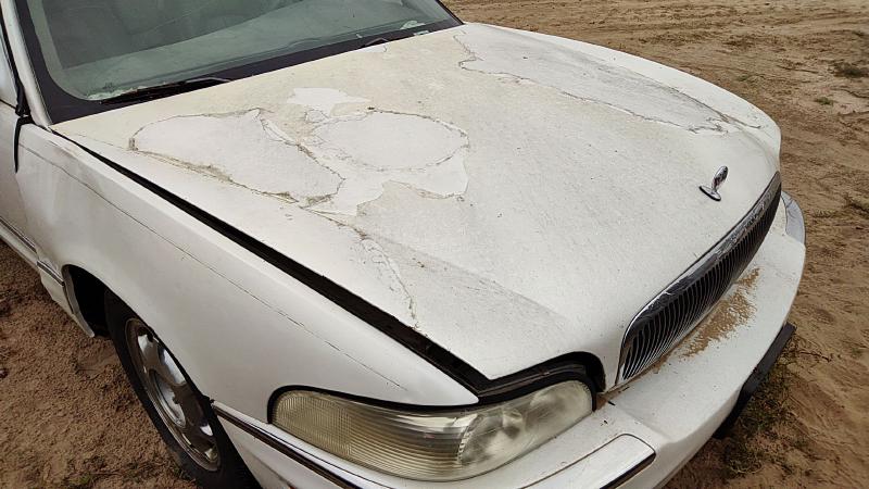 1997-2005 Buick Park Avenue (80&up) Hood
