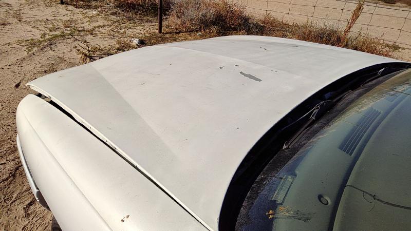 1992-1999 Pontiac Bonneville (80 & Up) Hood