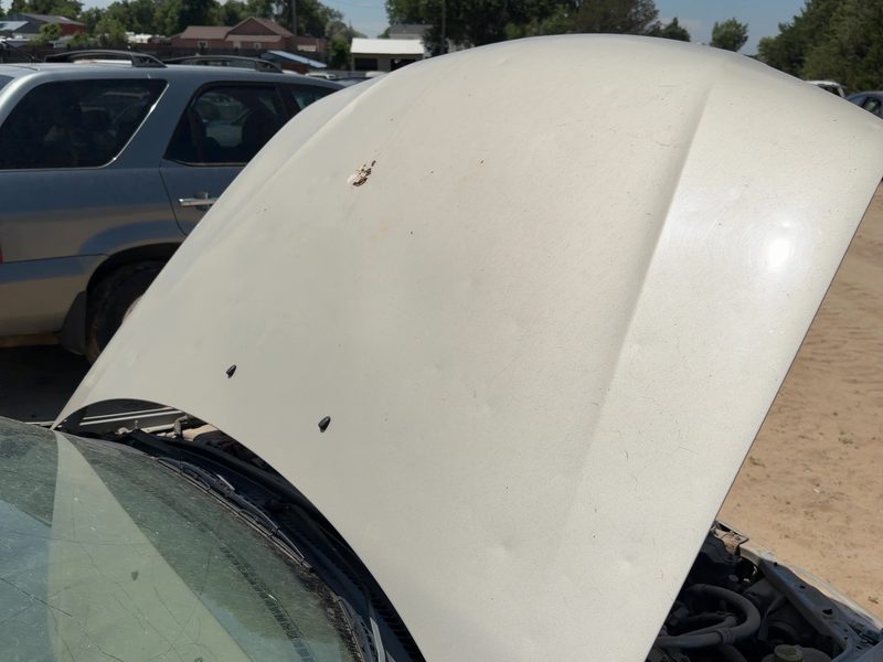 1999-2000 Mazda Protege Hood