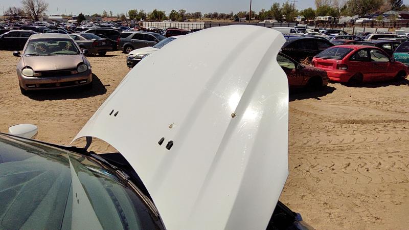 2012-2018 Ford Focus Not RS Hood