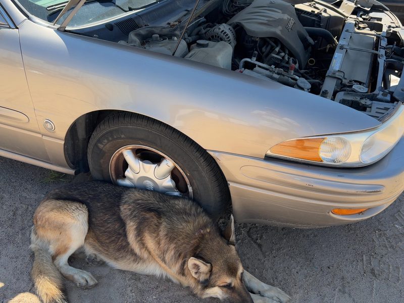 2000-2005 Buick Lesabre (80 & Up) Fender RH
