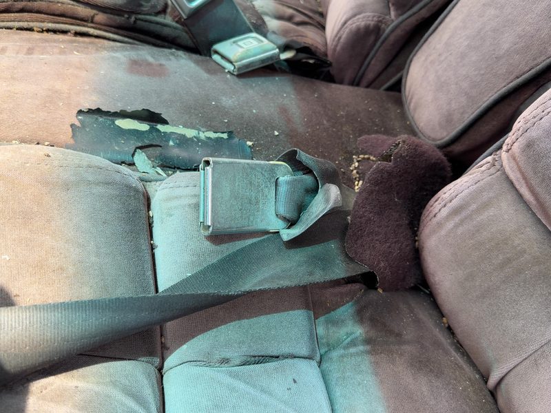 1986 Buick Park Avenue (80&up) Front Seat Belt LH