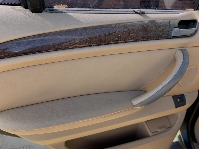 2003-2006 BMW X5 Rear Door Trim Panel LH
