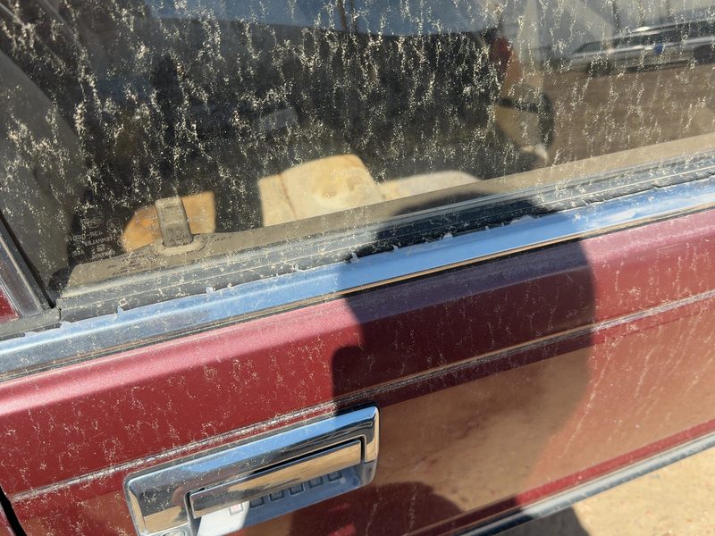 1987 Nissan Maxima Front Door Moulding RH