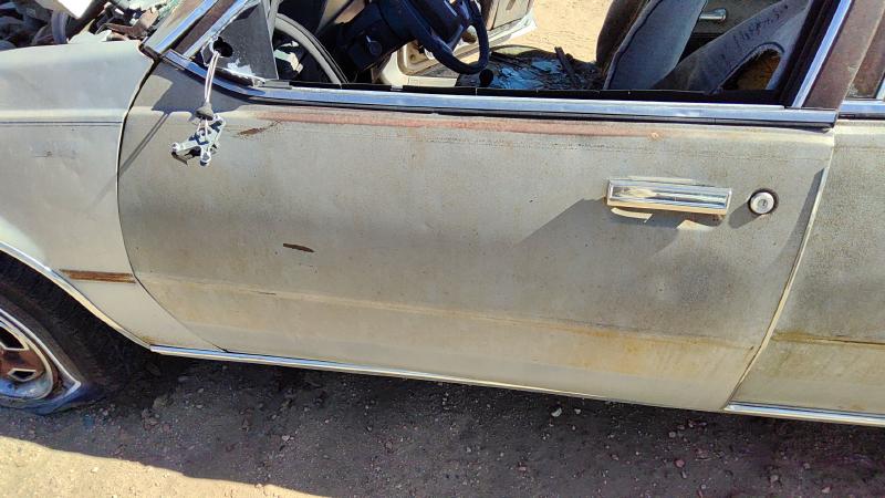 1982-1989 Firenza Front Door LH