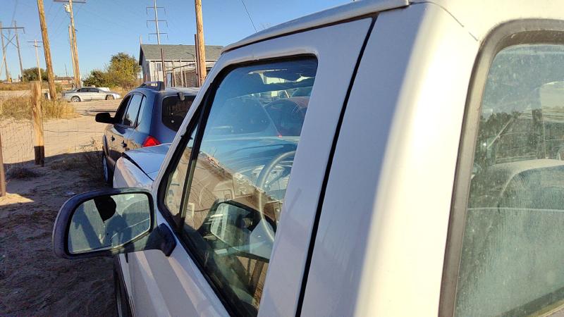 1995-1997 Ford Pickup F150 Series Front Door LH