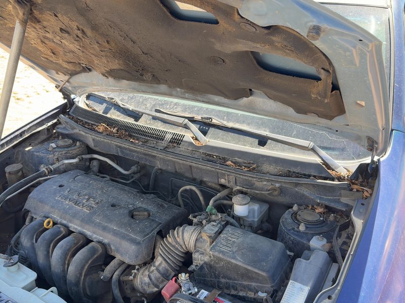 2003-2008 Toyota Matrix Hood Hinge LH