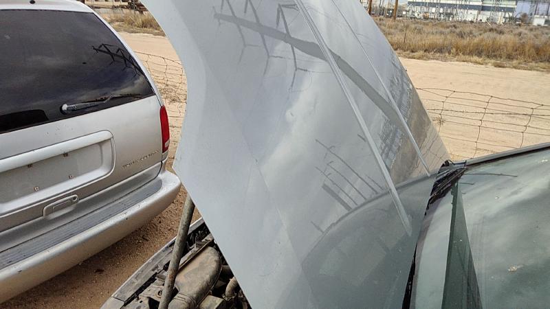 2007-2012 Nissan Sentra Hood