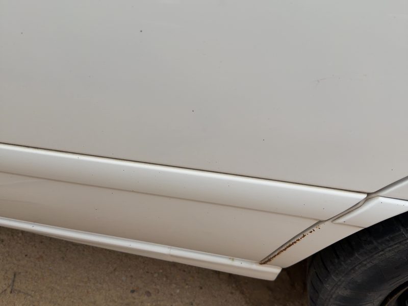 2000-2001 Toyota Camry Rear Door Moulding LH