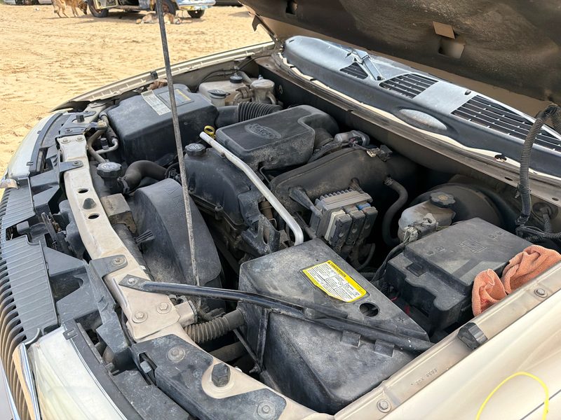 2004-2007 Buick Rainier Hood