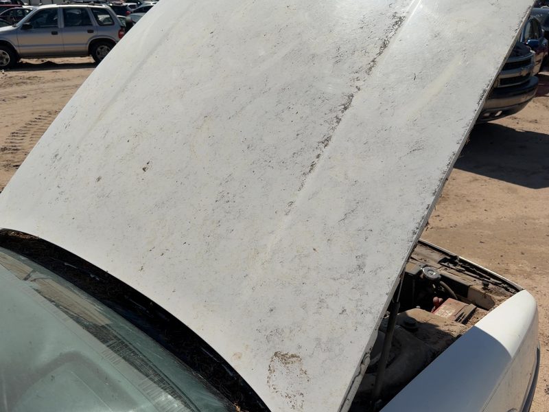 1991-1999 Oldsmobile Eighty-eight (80 & Up) Hood