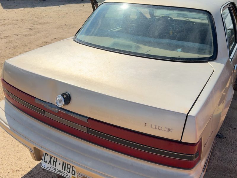 1989-1996 Buick Century Trunk/Decklid/Hatch/Tailgate