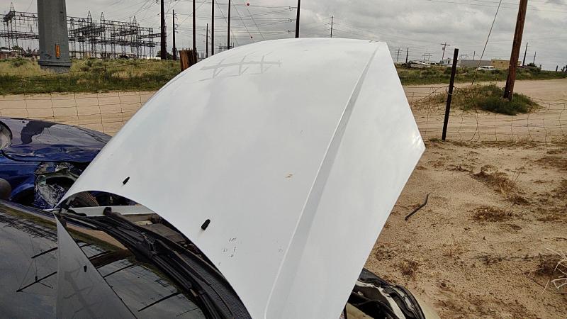2000-2004 Ford Focus Not RS Hood
