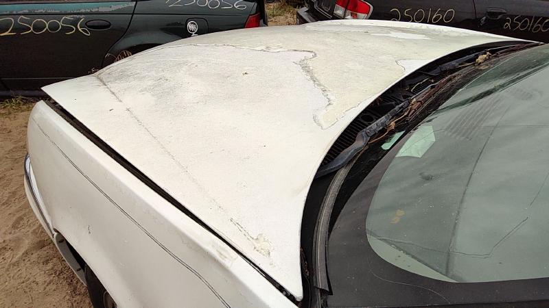 1997-2005 Buick Park Avenue (80&up) Hood