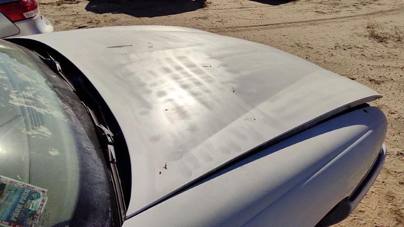 1992-1999 Pontiac Bonneville (80 & Up) Hood