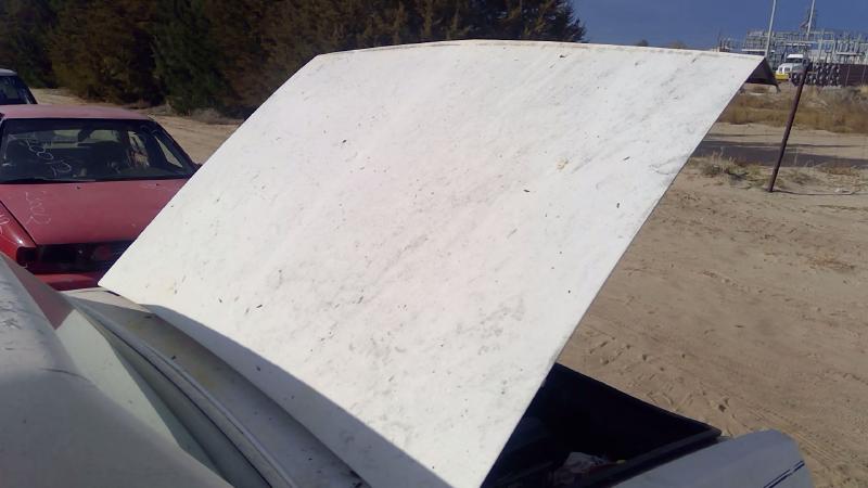 1980-1990 Chevrolet Caprice (80 & Up) Trunk/Decklid/Hatch/Tailgate