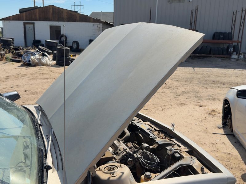 1982-1996 Buick Century Hood