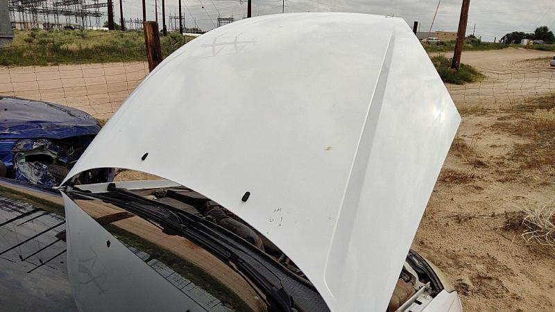 2000-2004 Ford Focus Not RS Hood