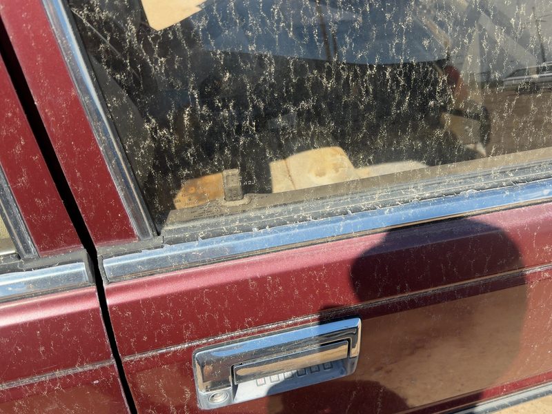 1987 Nissan Maxima Front Door Moulding RH