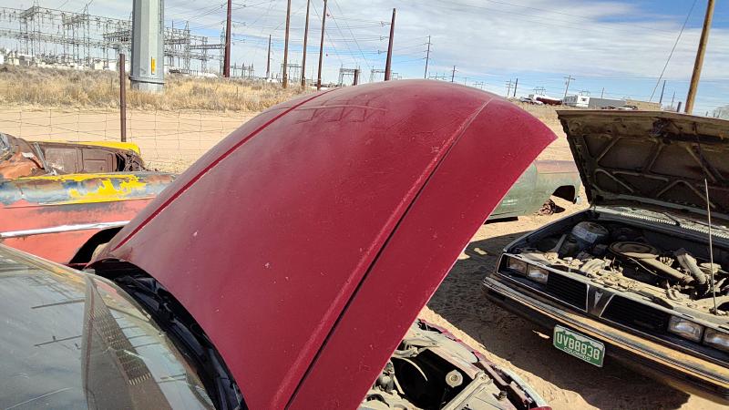 1995-2001 Lumina (also See Lumvan) Hood