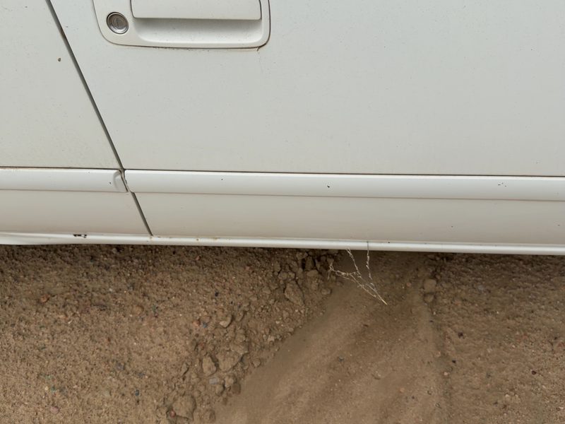 2000 Toyota Camry Front Door Moulding RH
