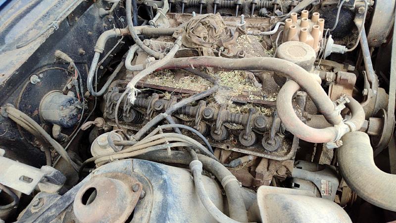 1970-2069 Thunderbird Cylinder Head