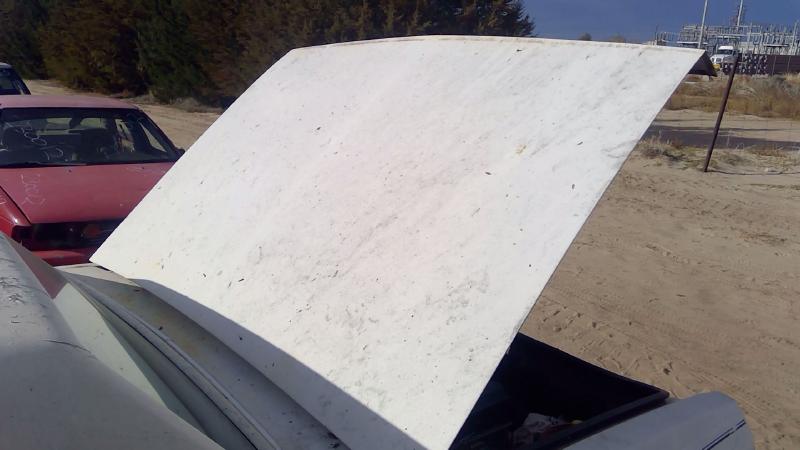 1980-1990 Chevrolet Caprice (80 & Up) Trunk/Decklid/Hatch/Tailgate