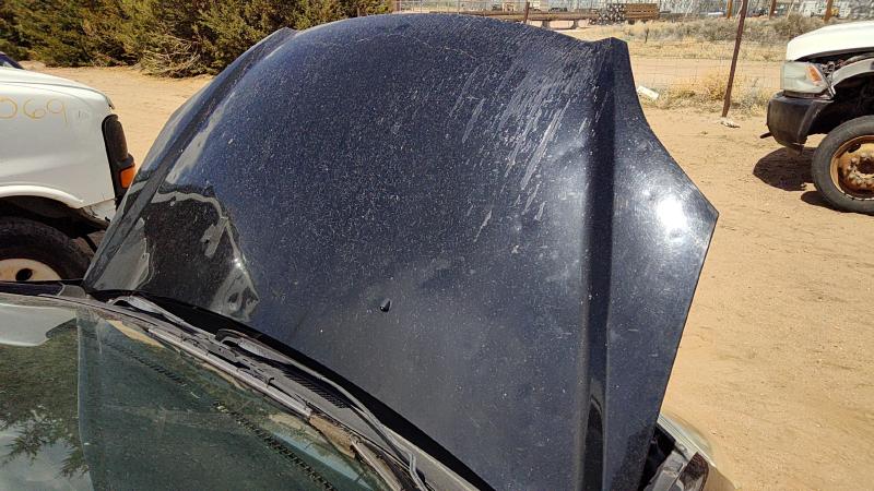 2002-2005 Honda Civic (see Also Delsol & Crx) Hood