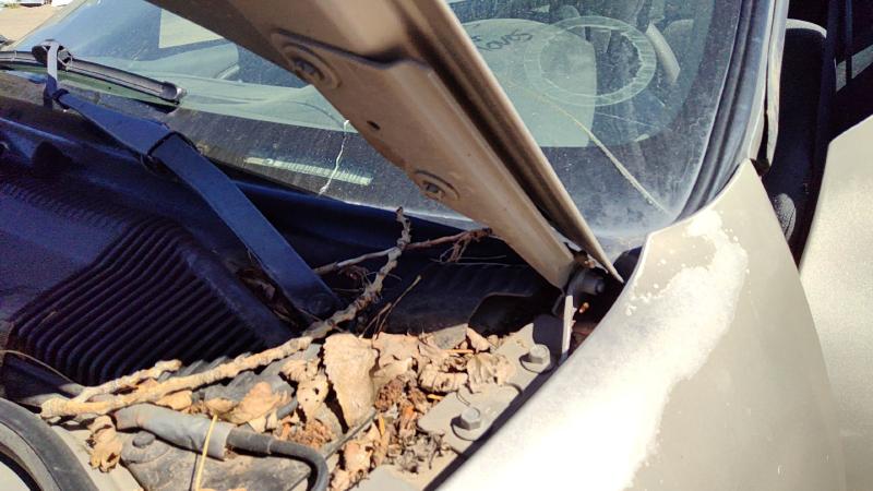2003 Cavalier Hood Hinge LH