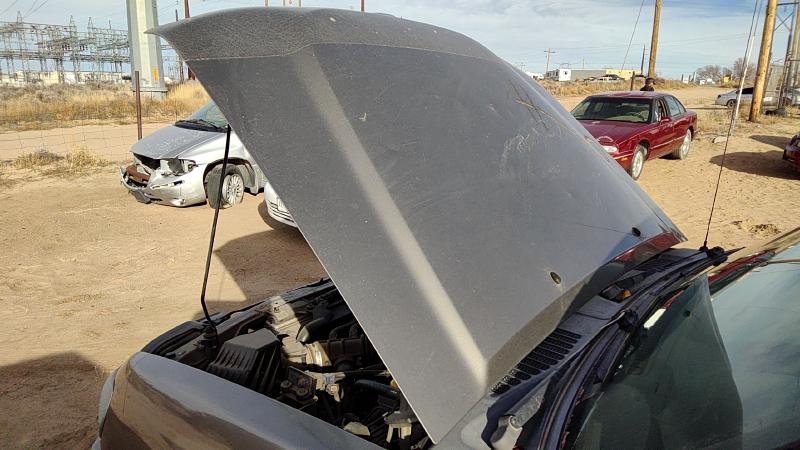 2002-2004 Nissan Xterra Hood