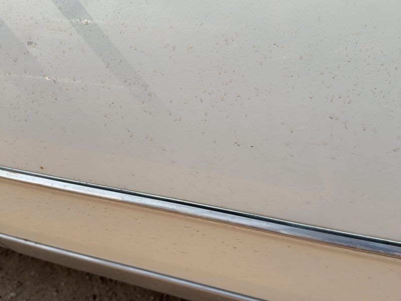 1986 Oldsmobile Ninety-eight (80 & Up) Front Door Moulding RH