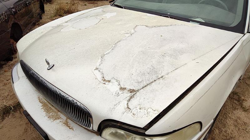 1997-2005 Buick Park Avenue (80&up) Hood