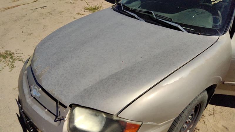 2003-2005 Cavalier Hood