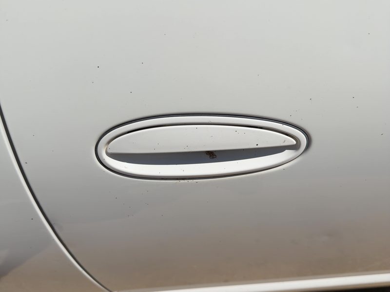 2004-2007 Monte Carlo Outside Door Handle RH