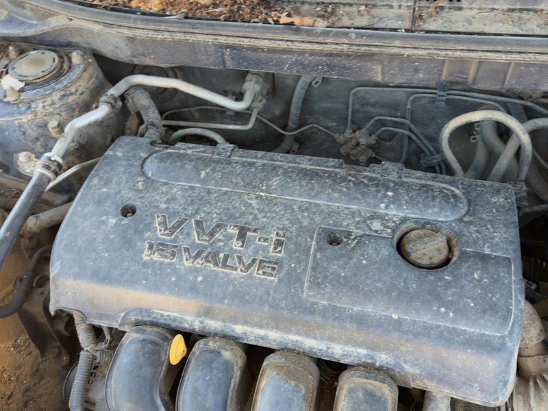 2003-2006 Toyota Matrix Engine Cover