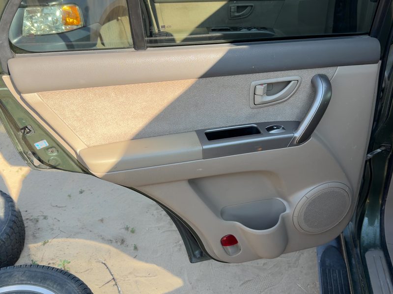 2005-2006 Kia Sorento Rear Door Trim Panel LH