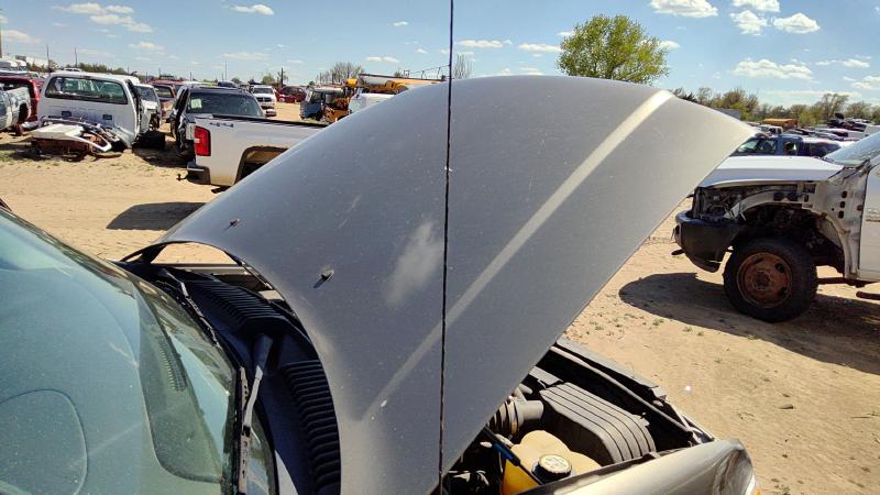 2002-2005 Explorer Hood