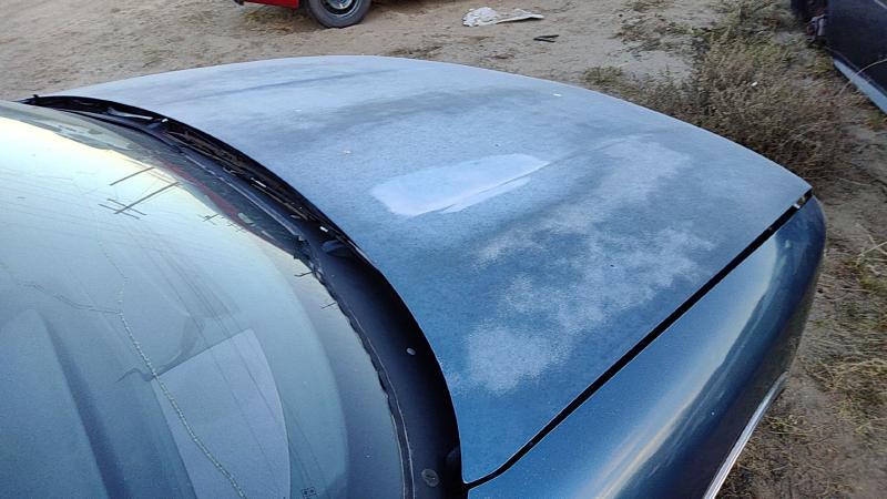 1988-1991 Cutlass (also See Calais 85-88) Hood