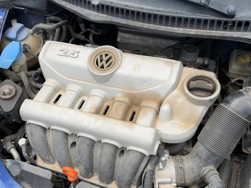 2006-2010 Volkswagen Beetle (type 1) Engine Cover