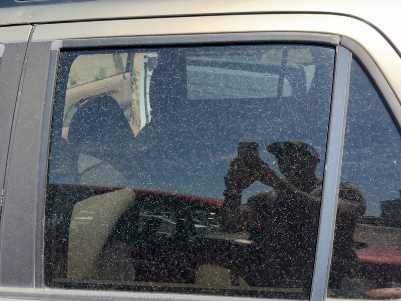 2002-2006 Honda Crv Rear Door Glass/Window LH
