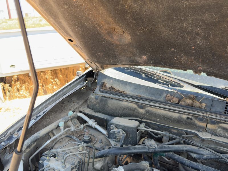 2001-2011 Honda Crv Hood Hinge RH