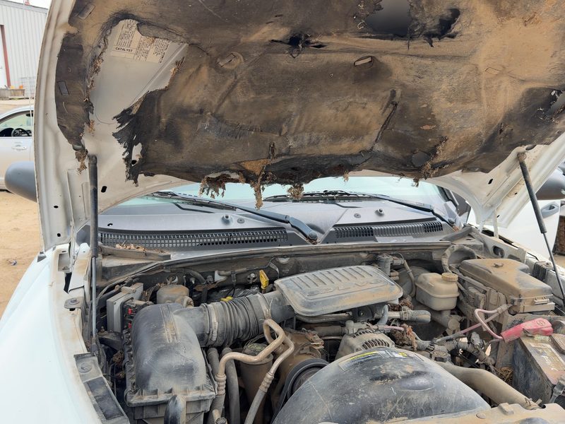 2002-2009 Dodge Dakota (mid-size) Hood Hinge RH