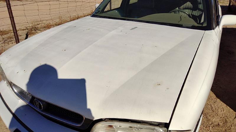 1992-1999 Pontiac Bonneville (80 & Up) Hood