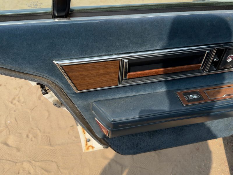 1986 Oldsmobile Ninety-eight (80 & Up) Rear Door Trim Panel LH